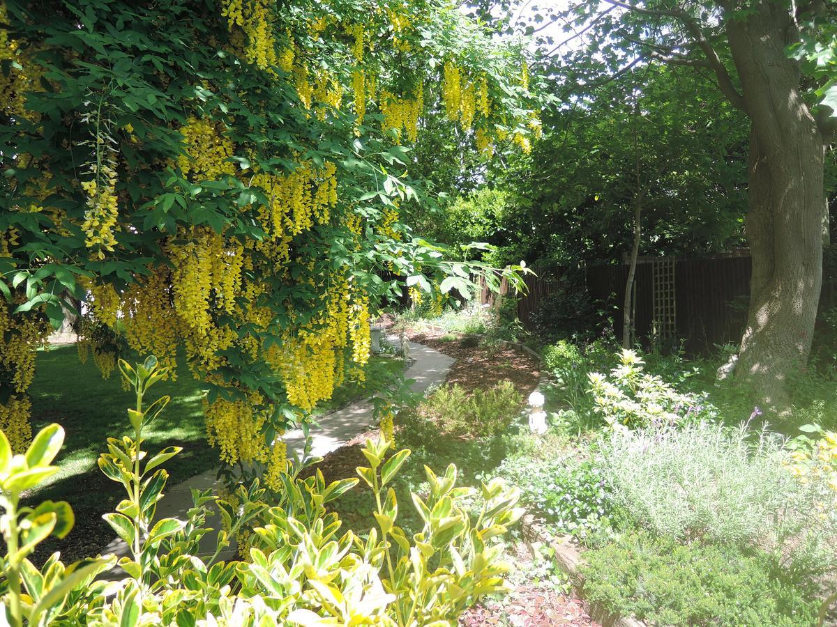 Tresillian House Bed and Breakfast Melton Mowbray Εξωτερικό φωτογραφία