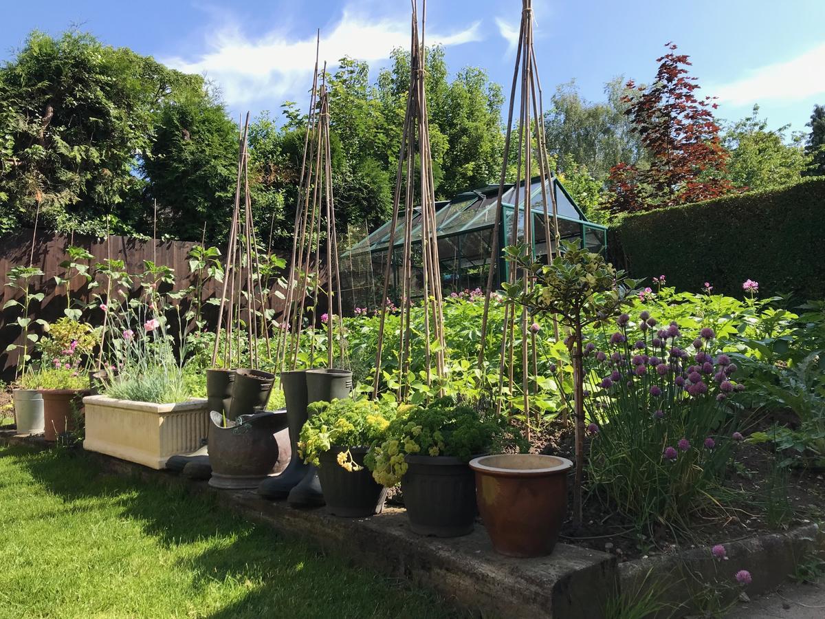 Tresillian House Bed and Breakfast Melton Mowbray Εξωτερικό φωτογραφία