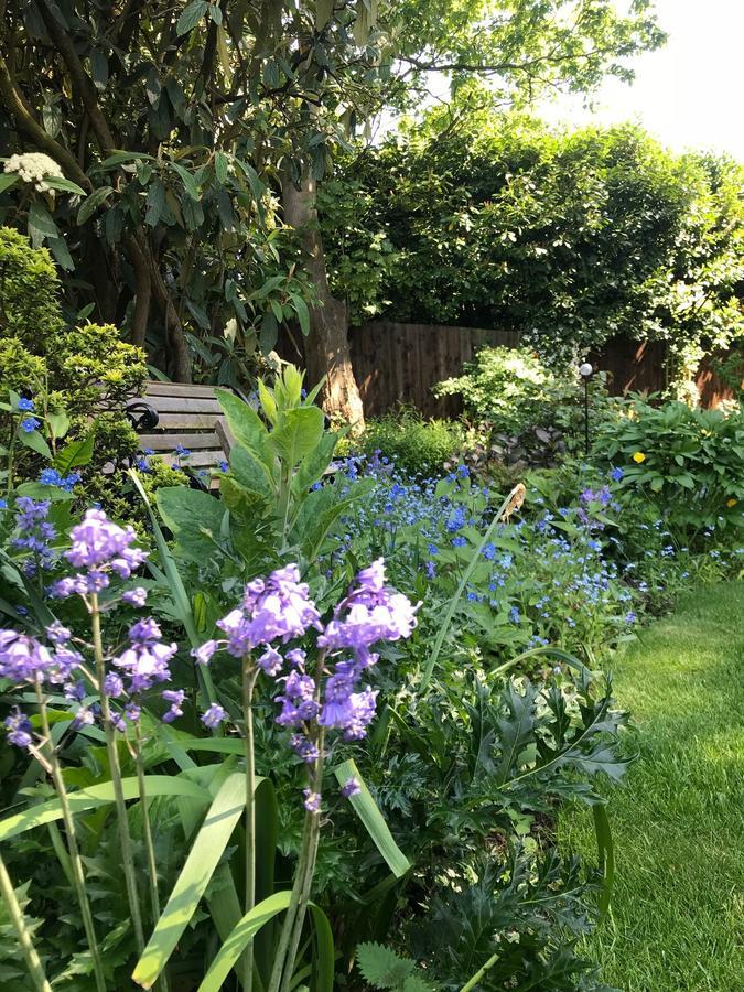 Tresillian House Bed and Breakfast Melton Mowbray Εξωτερικό φωτογραφία